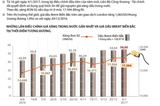 [Infographic] Giá xăng giữ nguyên trong kỳ điều chỉnh đầu năm