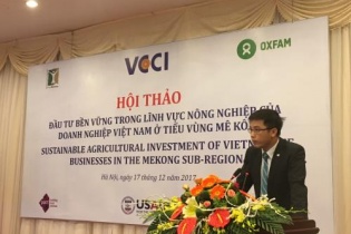 Đầu tư ra nước ngoài, doanh nghiệp Việt cần lưu ý gì?