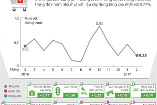[Infographic] Chỉ số giá tiêu dùng tháng 2/2017 tăng 0,23%