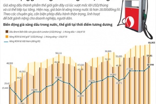 [Infographic] Biến động giá xăng dầu trong nước, thế giới