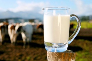Sữa organic là gì và có gì đặc biệt?