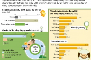 [Infographic] Đầu tư FDI vào năng lượng xanh đạt trên 770 triệu USD