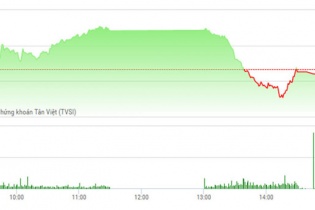 Phiên 21/4: ROS và MSN góp công giúp VN-Index lập kỷ lục giá trị giao dịch với hơn 7.000 tỷ đồng
