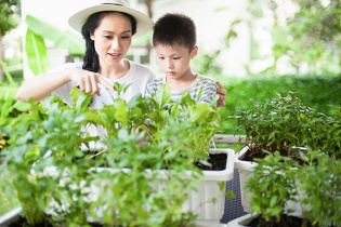 Đàn ông mua nhà, đàn bà "mua" tổ ấm