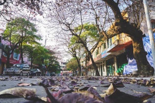 Hà Nội đẹp ngỡ ngàng trong tiết giao mùa