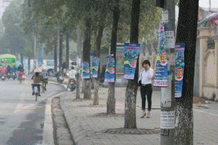 Từ ngày 5/5, phạt đến 2  triệu đồng với với người phát tờ rơi, treo quảng cáo trên cột điện, cây xanh