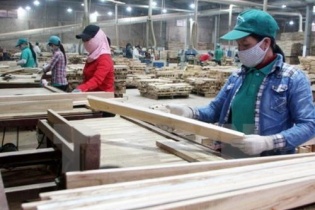 Ngành gỗ "đau đầu" với bài toán thiếu nguyên liệu