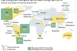 [Infographic] Cây trồng biến đổi gene tại 26 nước trong năm 2016