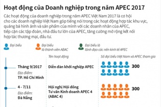[Infographic] Hoạt động của doanh nghiệp trong năm APEC 2017