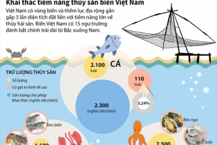 [Infographic] Khai thác tiềm năng thủy sản biển Việt Nam