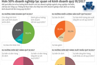 [Infographic] Hơn 50% doanh nghiệp lạc quan về kinh doanh quý 3/2017