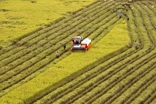 Doanh nghiệp đầu tư vào nông nghiệp có thể được giảm tới 70% tiền sử dụng đất