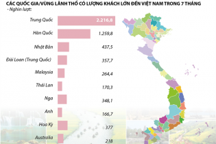 [Infographic] Đón hơn 7,2 triệu lượt khách quốc tế sau 7 tháng
