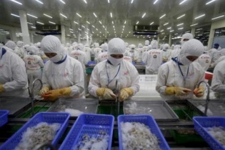 DOC thay đổi cách tính thuế với tôm nhập khẩu từ Việt Nam