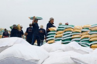 Áp thuế tự vệ tạm thời với phân bón DAP, MAP nhập khẩu từ 19/8