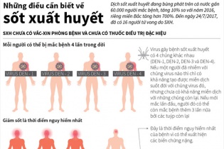 [Infographic] Những điều cần biết về sốt xuất huyết