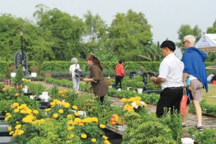 Đi tìm căn nhà cuối cùng của cuộc đời