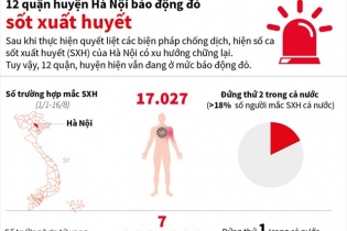 [Infographic] Chi tiết 12 quận huyện Hà Nội báo động đỏ do sốt xuất huyết