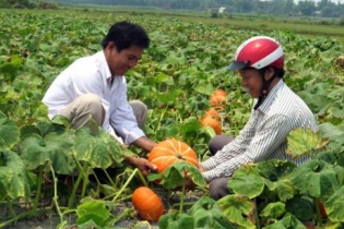 Sẽ cấp mã số, quản lý đăng ký kinh doanh cho hơn 98.000 tổ hợp tác