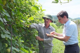 Chính thức ra mắt thức uống thảo dược TH true Herbal