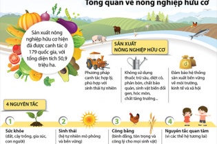 [Infographic]Tổng quan về nông nghiệp hữu cơ