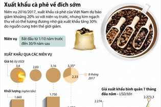 [Infographic] Xuất khẩu cà phê về đích sớm