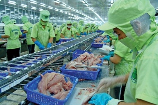 Hoa Kỳ lại nâng mức thuế chống bán phá giá cá tra Việt Nam