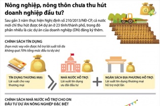 [Infographic] Nông nghiệp, nông thôn chưa thu hút doanh nghiệp đầu tư?