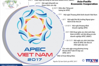 [Infographic] Những hoạt động chính trong Tuần lễ Cấp cao APEC 2017