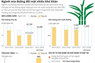 [Infographic] Ngành mía đường đối mặt nhiều khó khăn