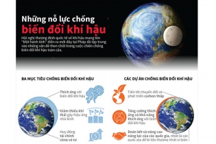 [Infographic] Những nỗ lực chống biến đổi khí hậu