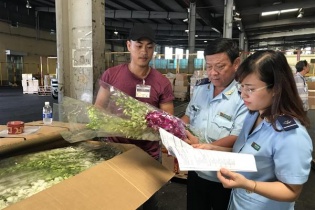 Cục Hải quan TP.HCM: Để hoàn thành chỉ tiêu, tuần này phải thu 3.880 tỷ đồng