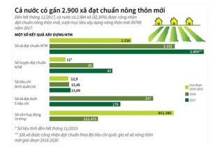 [Infographic] Cả nước có gần 2.900 xã đạt chuẩn nông thôn mới