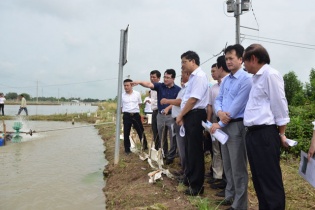 Sớm nhân rộng mô hình tiết kiệm điện trong nuôi tôm tại Sóc Trăng