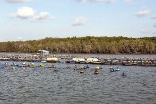 TP. HCM duyệt quy hoạch Khu đô thị du lịch biển Cần Giờ