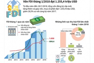 [Infographic] Vốn FDI tháng 1/2018 đạt 1.255,4 triệu USD