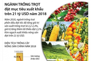 [Infographic] Ngành trồng trọt đặt mục tiêu xuất khẩu trên 21 tỷ USD năm 2018