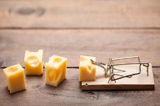 Startup muốn sống sót, phải tuyệt đối tránh 3 cái bẫy này