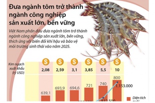 [Infographic] Đưa ngành tôm trở thành ngành công nghiệp sản xuất lớn, bền vững