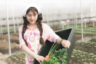 Hộ kinh doanh "lên đời" doanh nghiệp được miễn phí đăng ký kinh doanh, miễn thuế môn bài 3 năm