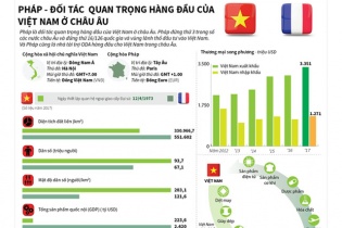[Infographic] Quan hệ đối tác chiến lược Việt Nam - Pháp