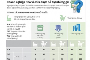 [Infographic] Doanh nghiệp nhỏ và vừa được hỗ trợ những gì?