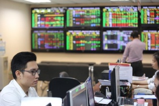 Thị trường chứng khoán: Bài học đau thương cho nhà đầu tư dính bẫy bull trap