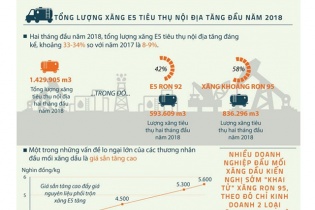 [Infographic] Lượng xăng E5 tiêu thụ nội địa tăng trong đầu năm 2018