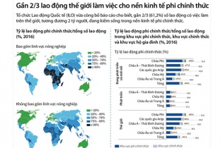 [Infographic] Gần 2/3 lao động thế giới làm việc cho nền kinh tế phi chính thức