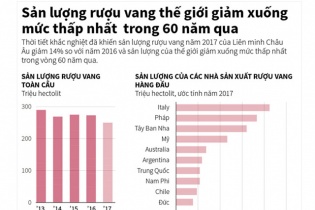 [Infographic] Sản lượng rượu vang thế giới giảm xuống mức thấp nhất trong 60 năm qua