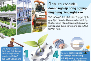 [Infographic] 4 tiêu chí xác định doanh nghiệp nông nghiệp ứng dụng công nghệ cao