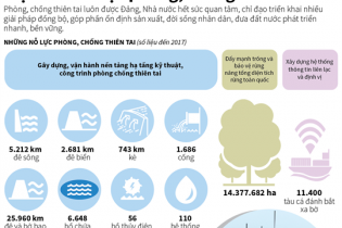 [Infographic] Việt Nam nỗ lực phòng, chống thiên tai