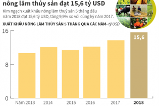 [Infographic] Xuất khẩu nông lâm thủy sản đạt 15,6 tỷ USD