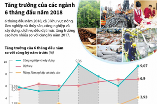 [Infographic] Tăng trưởng của các ngành nửa đầu năm 2018